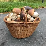 Apartamento útulný U Mumlavských Vodopádů