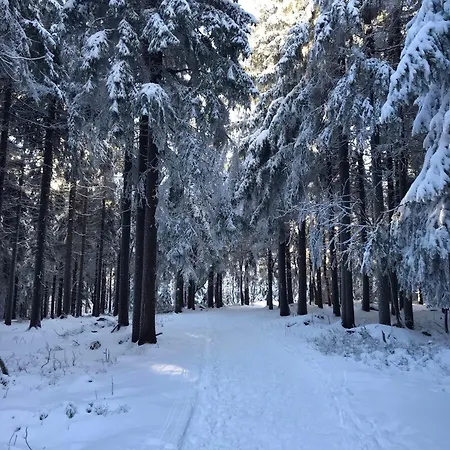Utulny U Mumlavskych Vodopadu Appartement Harrachov
